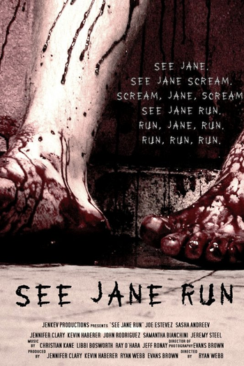 Poster de Filme See Jane Run (None)