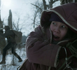 The Cold