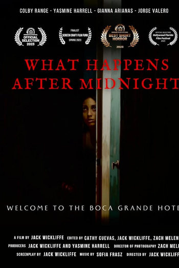Poster de Curta What Happens After Midnight (2023)