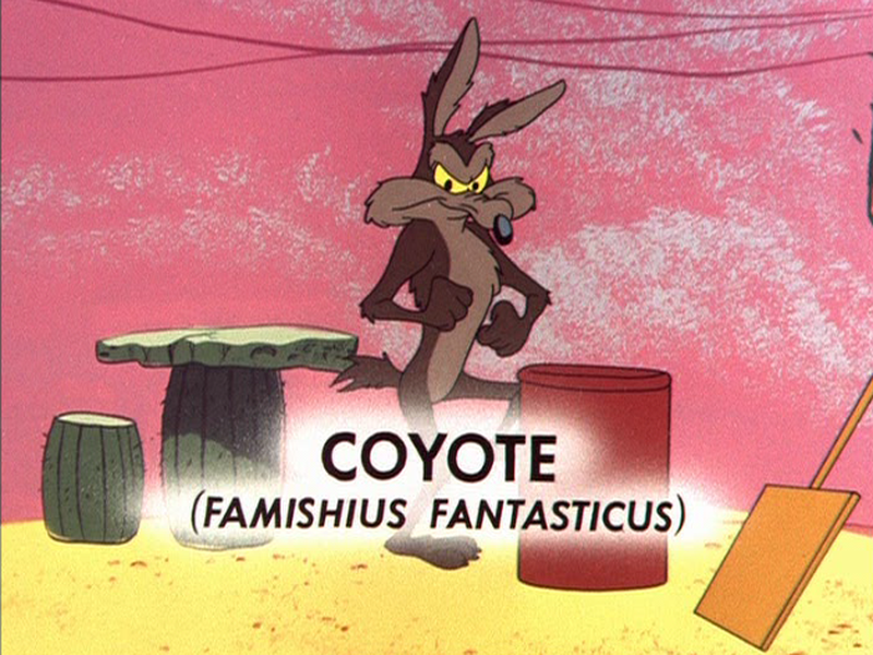 Foto 7 de Lá Vão Eles