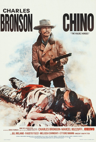 Poster 1 de Filme Valdez, o Mestiço (1973)