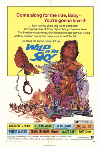 Poster 1 de Filme Selvagem no Céu (1972)