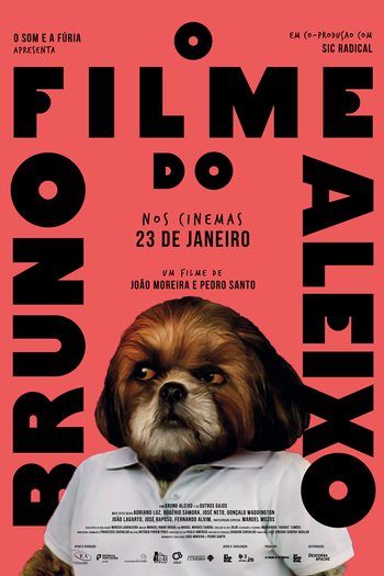Poster de Filme O Filme do Bruno Aleixo (2020)