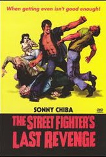 Street Fighter: A Vingança - Poster / Capa / Cartaz - Oficial 1