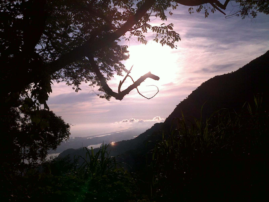Luis Paulo Lopes - Foto 1
