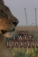 NatGeo - Leoa Solitária  (NatGeo - The Last Lioness)