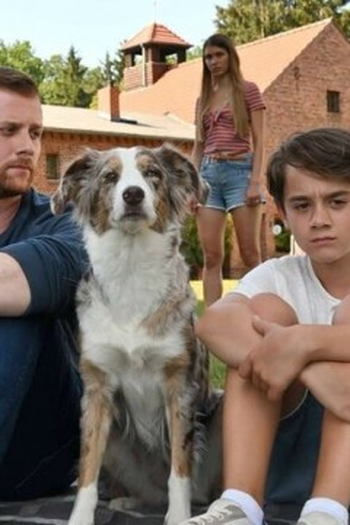 Poster de Episódio Das Adoptivkind (2021)