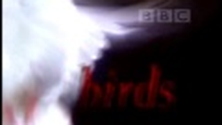 Trailer: The Life of Birds Intro