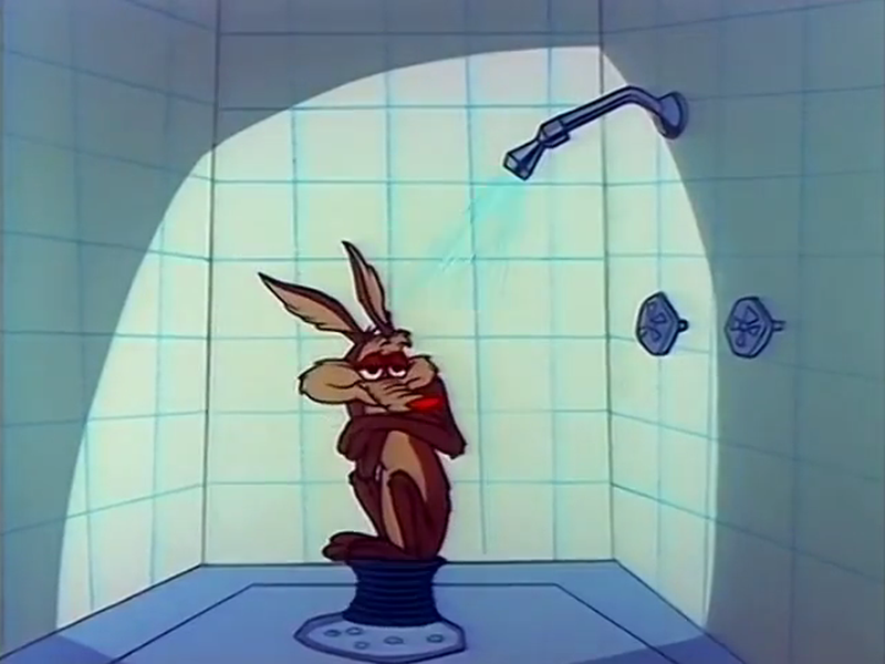 Foto 8 de Lobo Desastrado