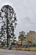 Brás: Sotaques e Desmemórias (Brás: Sotaques e Desmemórias)