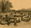Megaconda