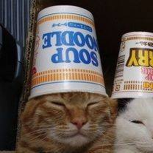 Foto de perfil de Jhonatan Roldão