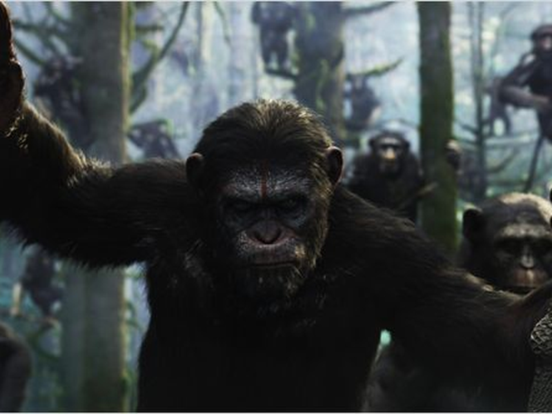 Foto 4 de Planeta dos Macacos: O Confronto