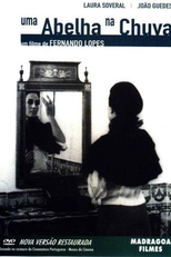 Uma Abelha na Chuva (Uma Abelha na Chuva)