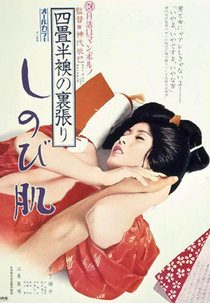 The World of Geisha 2 – The Precocious Lad (Yojôhan fusuma no urabari: Shinobi hada)