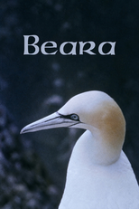 Beara (Beara)
