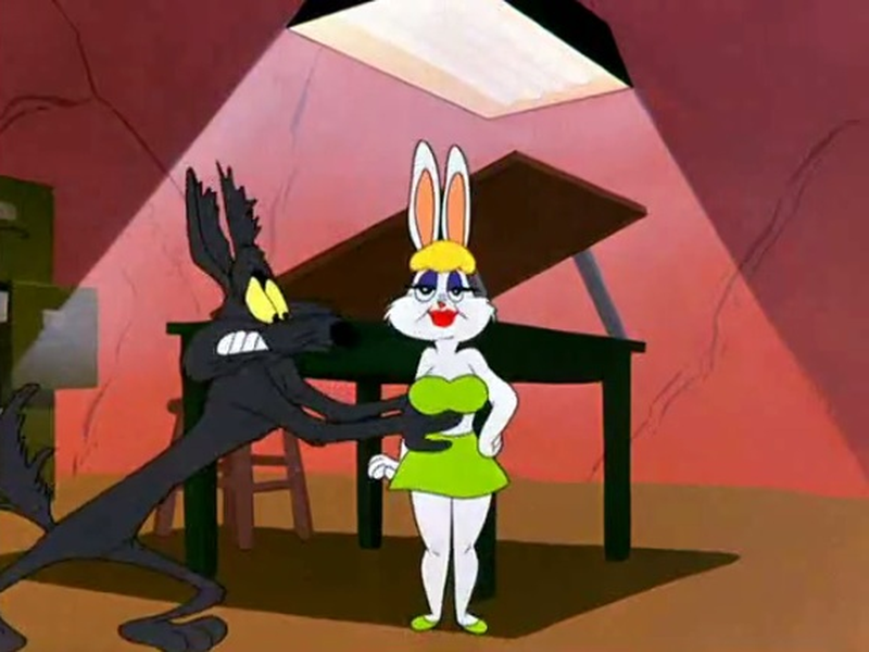 Foto 3 de Operação: Coelho