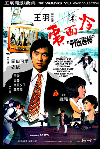 Poster 1 de Filme A Man Called Tiger (1973)