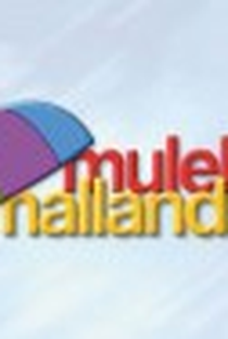 Muleke Mallandro - Poster / Capa / Cartaz - Oficial 1