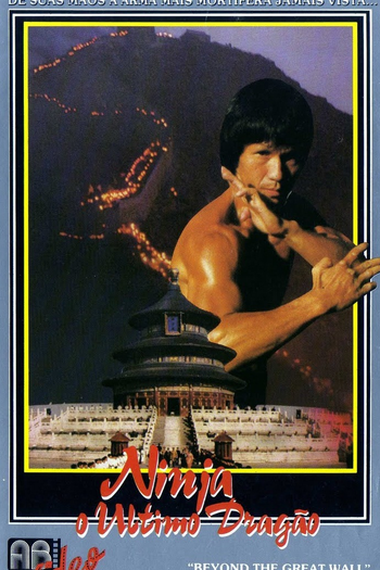  de Filme Ninja: O Último Dragão (1987)