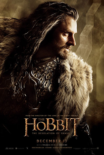 O Hobbit: A Desolação de Smaug - Poster / Capa / Cartaz - Oficial 15
