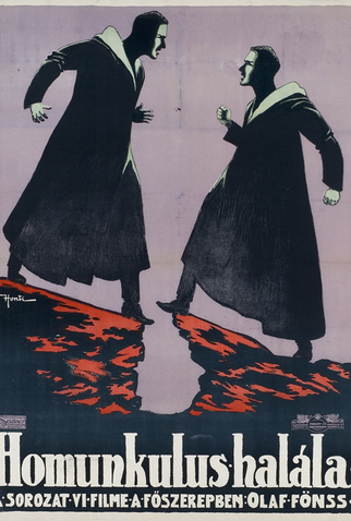 Poster 1 de Série Homunculus (1916)
