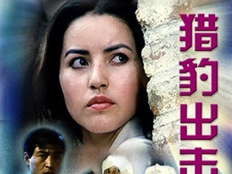 Foto 2 de Cheetah in Action