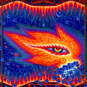 Foto de perfil de Luiz Felipe