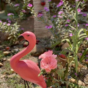 Foto de perfil de dyninha