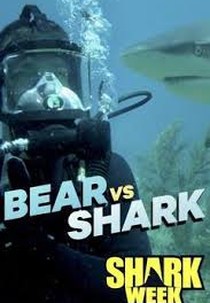 Bear Grylls vs. Tubarões (Bear vs. Shark)