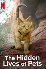 A Vida Secreta dos Nossos Animais (Theo Hidden Livae of Pets)