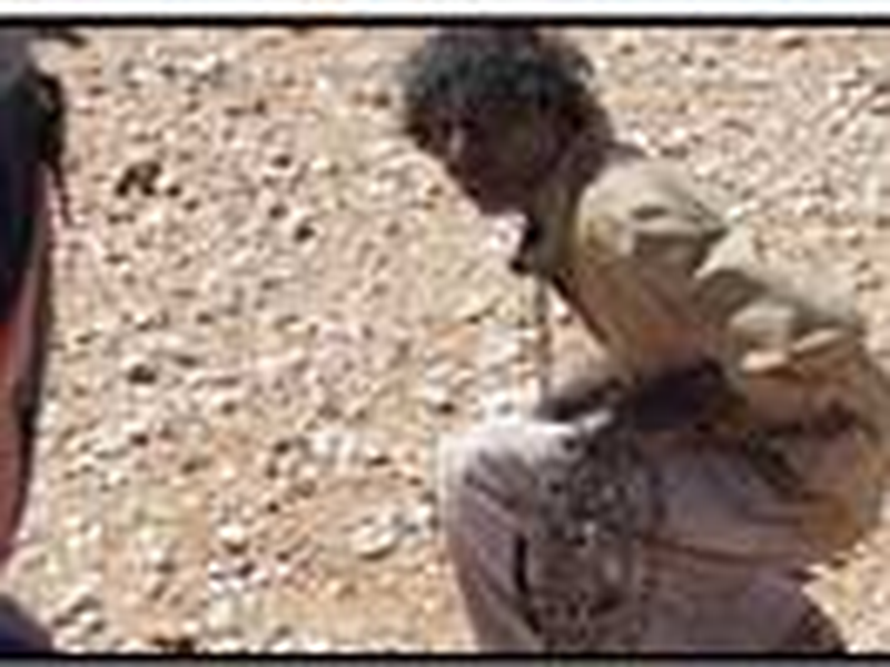 Foto 7 de O Rastreador