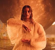 The Warmth - Paris Paloma