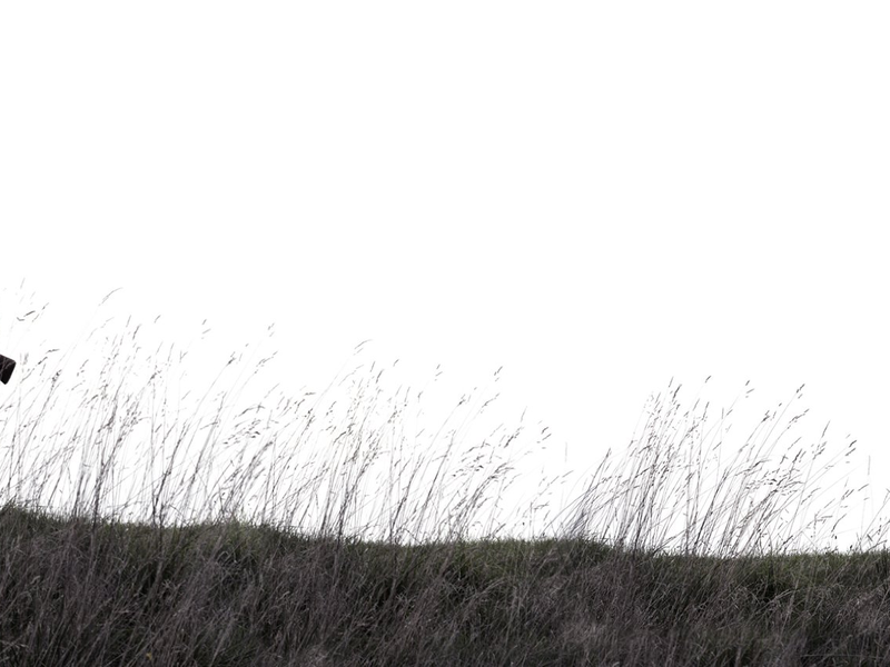 Foto 2 de As 7 Bruxas