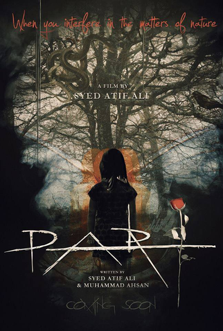 Poster 1 de Filme Pari (2018)