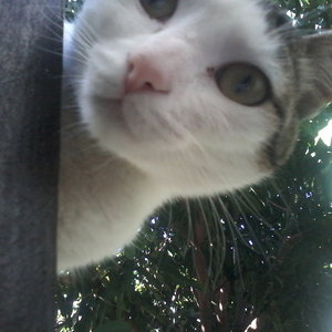 Foto de perfil de manu