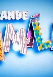 A Grande Família (12ª Temporada) (A Grande Família (12ª Temporada))