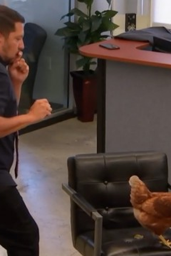 Poster de Episódio Chick Magnet (2018)