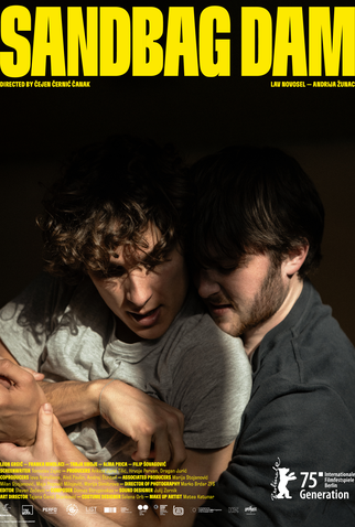 Poster 1 de Filme Emoções Represadas (2025)