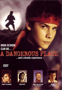 Punhos Assassinos (A Dangerous Place)