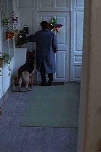 Poster de Episódio Ein Feines Haus (1994)