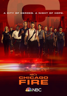 Chicago Fire: Heróis Contra o Fogo (8ª Temporada)