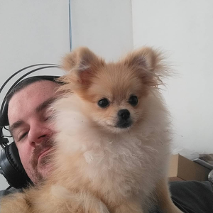 Foto de perfil de Felipe