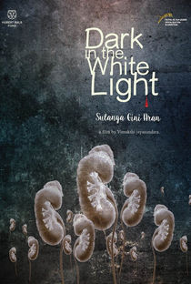 Dark In The White Light - Poster / Capa / Cartaz - Oficial 2