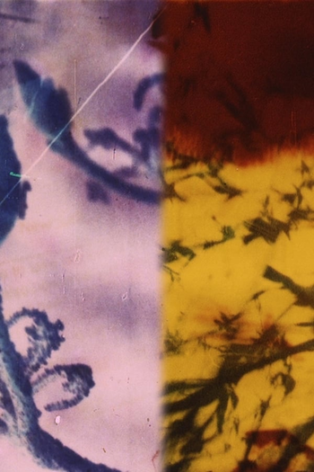 Poster de Curta Harbour City (2015)