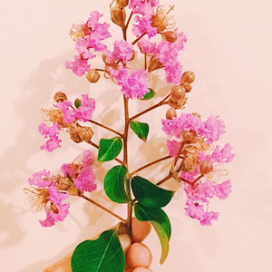 Foto de perfil de Julia