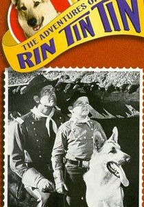 As Aventuras de Rin Tin Tin (1ª Temporada) (The Adventures of Rin Tin Tin (Season 1))