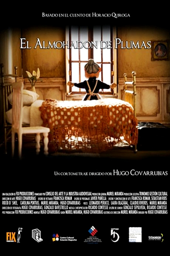 Poster de Curta Travesseiro de Plumas (2007)
