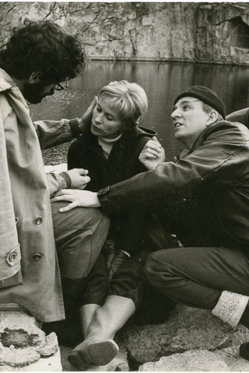  de Filme Ingmar Bergman (1971)
