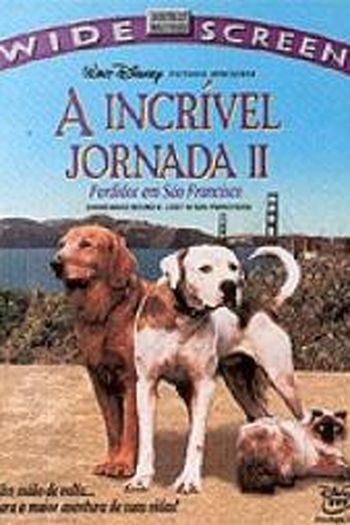  de Filme A Incrível Jornada II: Perdidos em São Francisco (1996)